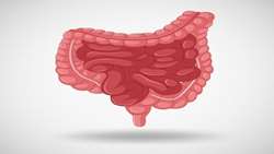 The role of inflammatory miRNA-mRNA interactions in PBMCs of colorectal cancer and obesity patients